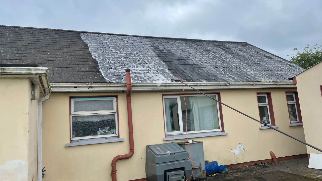 Roof Cleaning