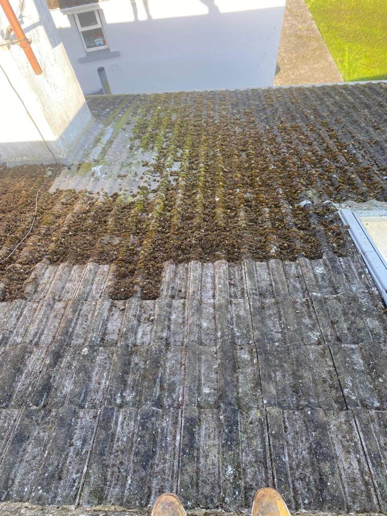 moss removal on roof