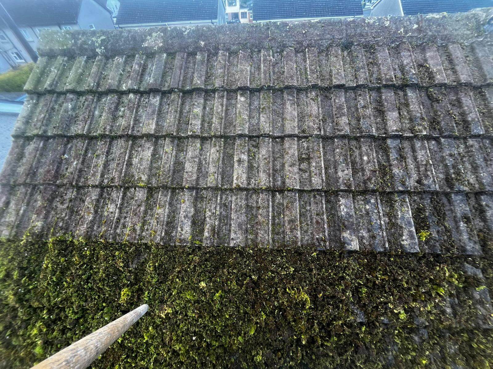 removing moss from roof