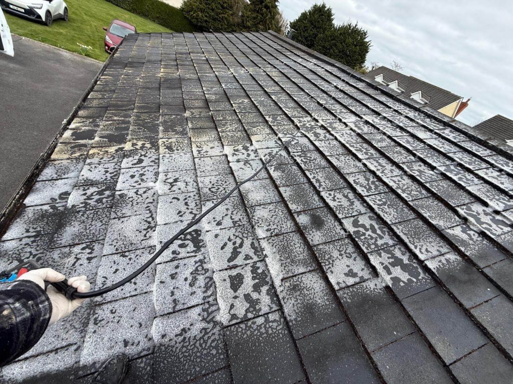 roof biocide treatment